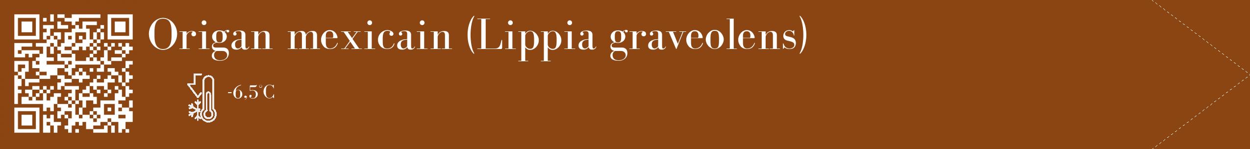 Étiquette de : Lippia graveolens - format c - style blanche30_simple_simplebod avec qrcode et comestibilité