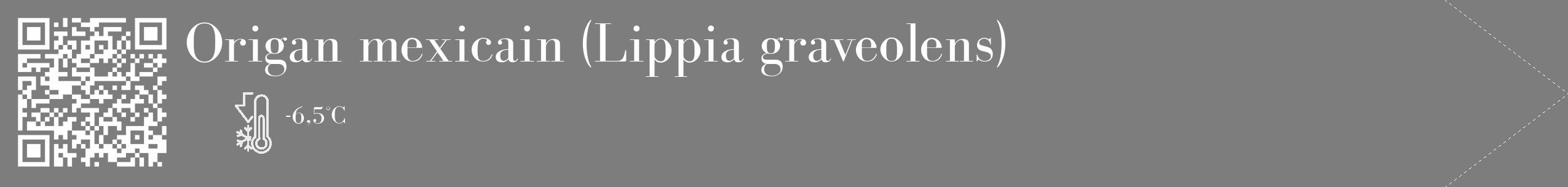 Étiquette de : Lippia graveolens - format c - style blanche35_simple_simplebod avec qrcode et comestibilité