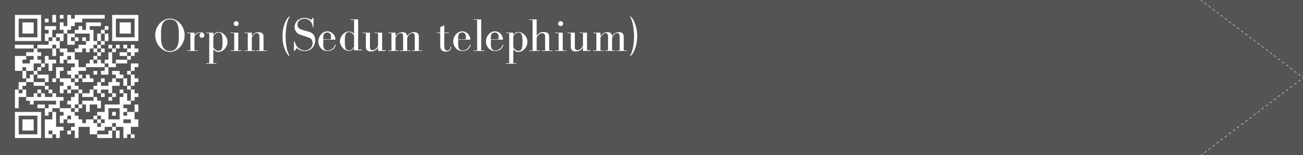 Étiquette de : Sedum telephium - format c - style blanche36_simple_simplebod avec qrcode et comestibilité