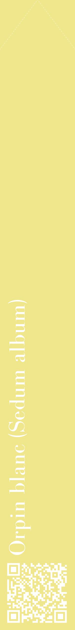 Étiquette de : Sedum album - format c - style blanche20_simplebod avec qrcode et comestibilité