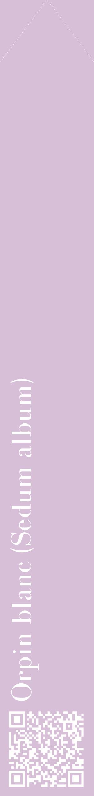 Étiquette de : Sedum album - format c - style blanche54_simplebod avec qrcode et comestibilité