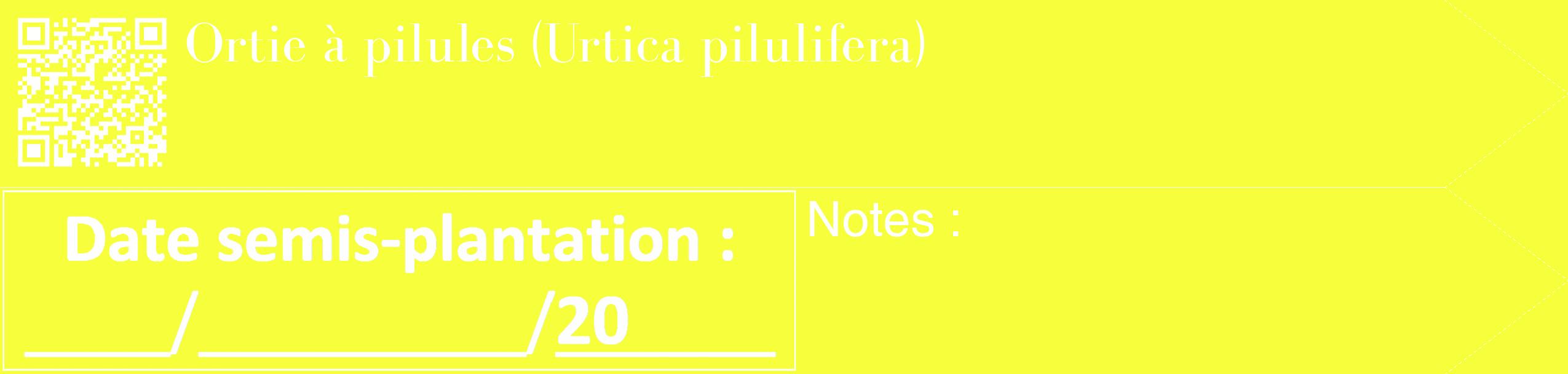Étiquette de : Urtica pilulifera - format c - style blanche18_simple_simplebod avec qrcode et comestibilité