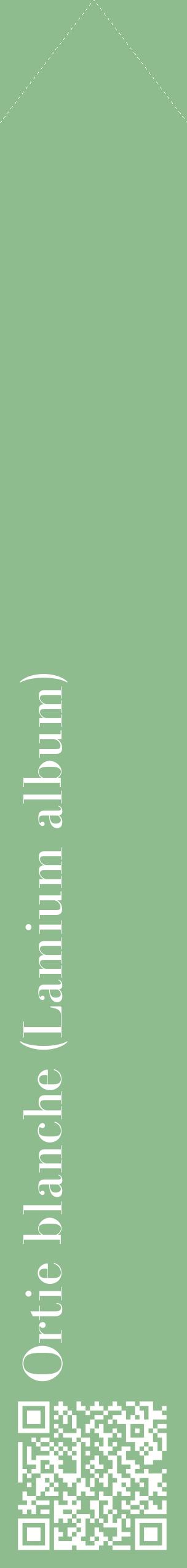 Étiquette de : Lamium album - format c - style blanche13_simplebod avec qrcode et comestibilité