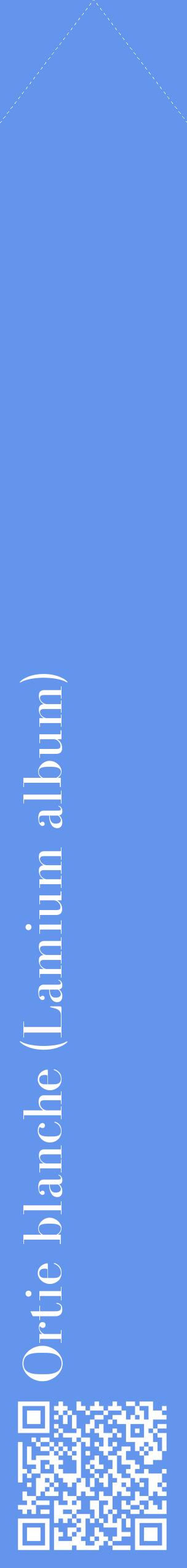 Étiquette de : Lamium album - format c - style blanche4_simplebod avec qrcode et comestibilité