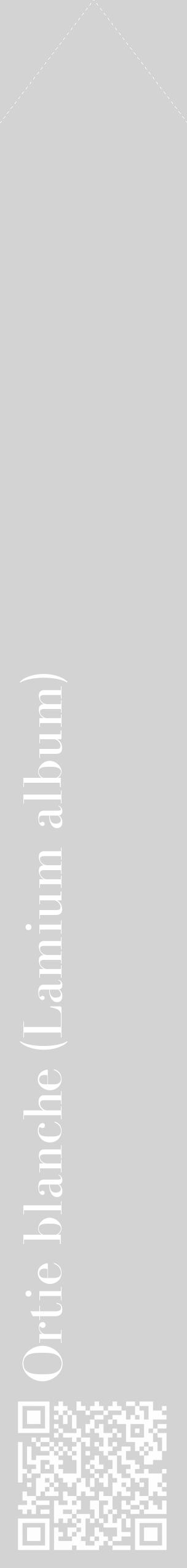 Étiquette de : Lamium album - format c - style blanche56_simple_simplebod avec qrcode et comestibilité - position verticale