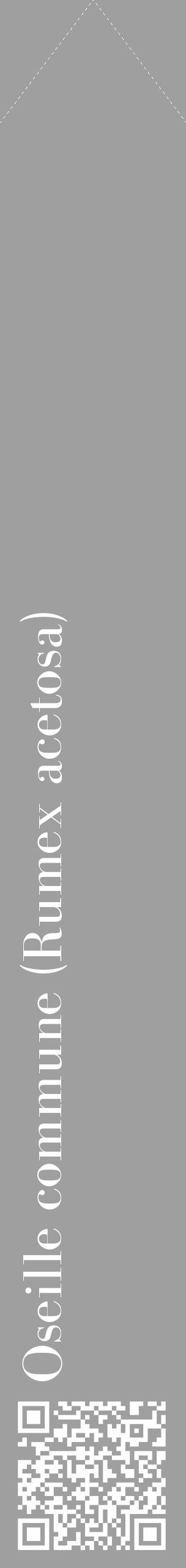 Étiquette de : Rumex acetosa - format c - style blanche24_simple_simplebod avec qrcode et comestibilité - position verticale