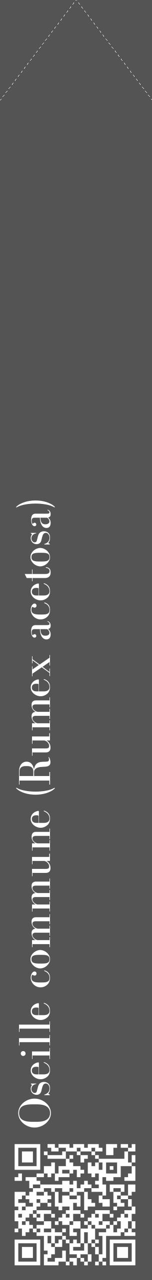 Étiquette de : Rumex acetosa - format c - style blanche36_simple_simplebod avec qrcode et comestibilité - position verticale