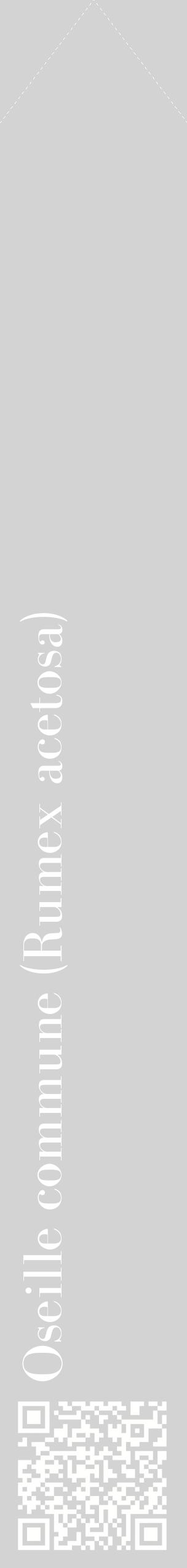 Étiquette de : Rumex acetosa - format c - style blanche56_simplebod avec qrcode et comestibilité