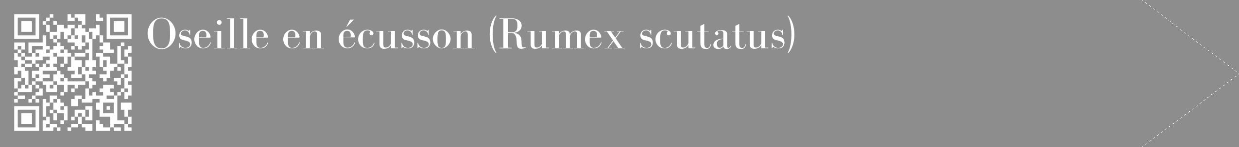 Étiquette de : Rumex scutatus - format c - style blanche2_simple_simplebod avec qrcode et comestibilité