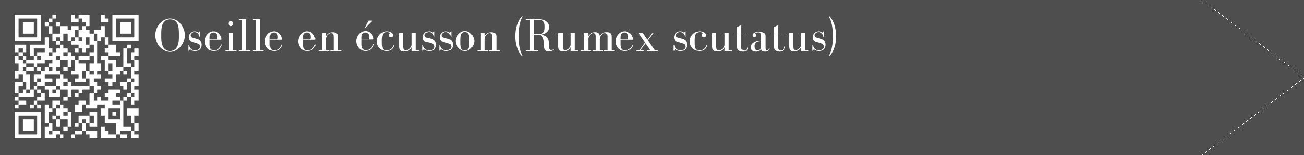Étiquette de : Rumex scutatus - format c - style blanche33_simple_simplebod avec qrcode et comestibilité
