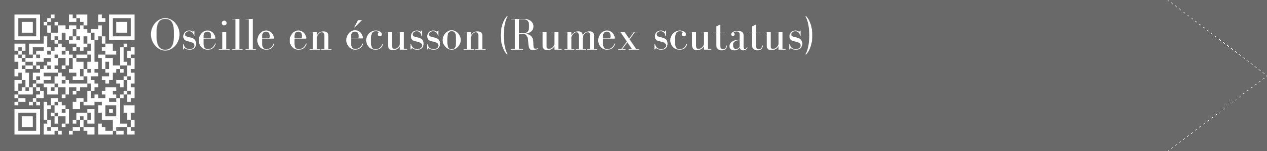 Étiquette de : Rumex scutatus - format c - style blanche51_simple_simplebod avec qrcode et comestibilité