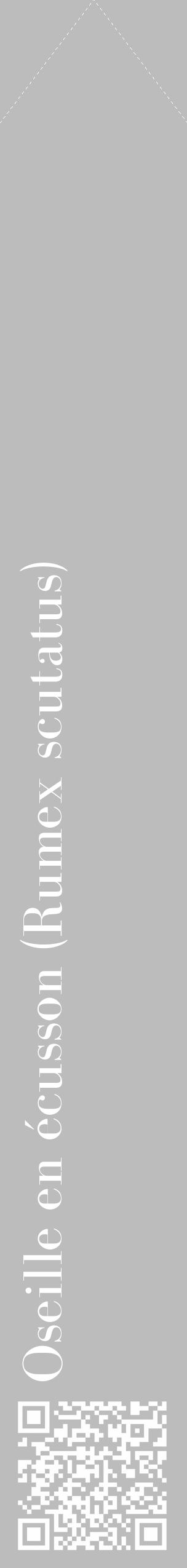 Étiquette de : Rumex scutatus - format c - style blanche1_simple_simplebod avec qrcode et comestibilité - position verticale