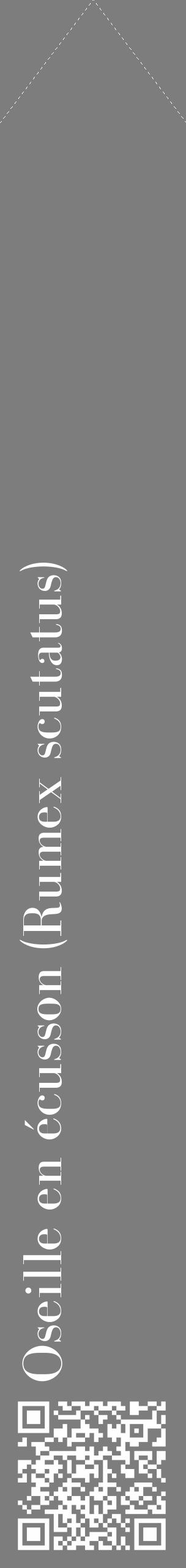 Étiquette de : Rumex scutatus - format c - style blanche35_simple_simplebod avec qrcode et comestibilité - position verticale
