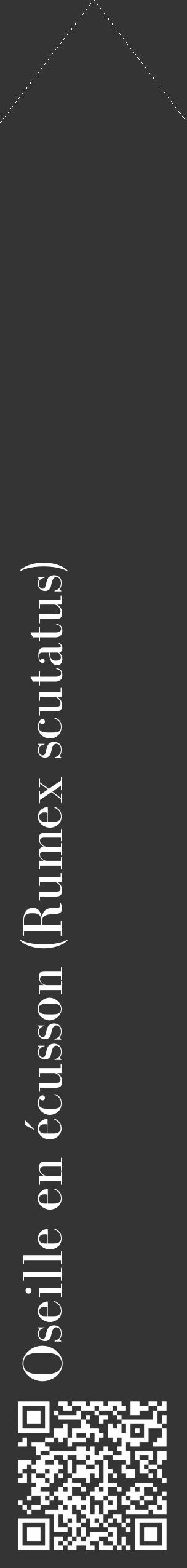 Étiquette de : Rumex scutatus - format c - style blanche46_simple_simplebod avec qrcode et comestibilité - position verticale