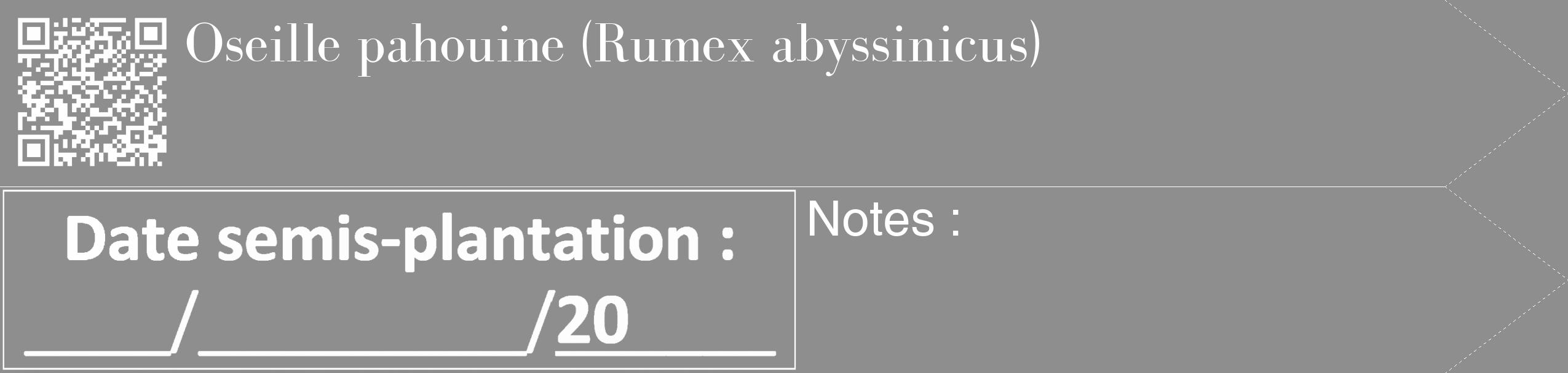 Étiquette de : Rumex abyssinicus - format c - style blanche25_simple_simplebod avec qrcode et comestibilité