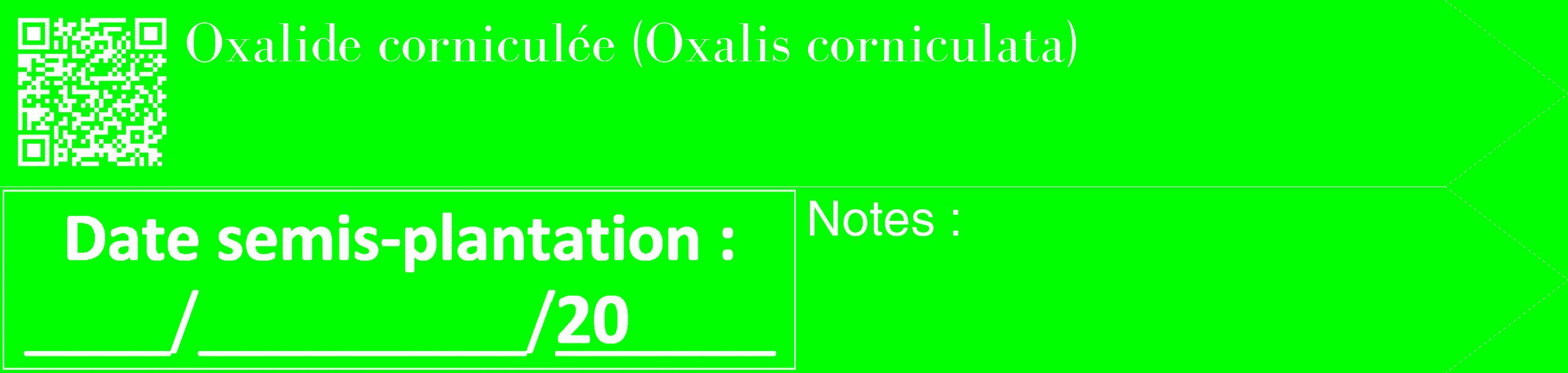 Étiquette de : Oxalis corniculata - format c - style blanche16_simple_simplebod avec qrcode et comestibilité