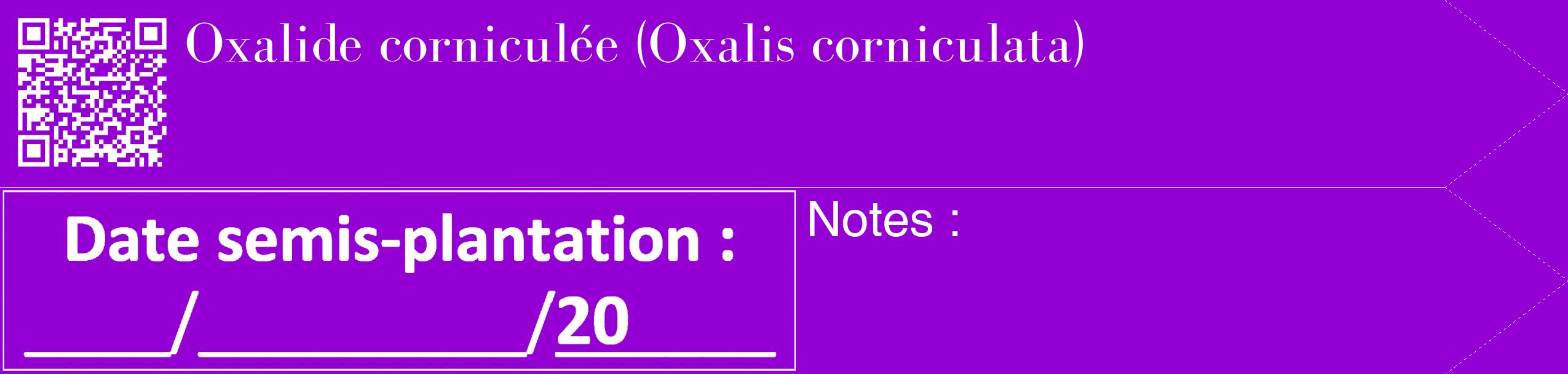 Étiquette de : Oxalis corniculata - format c - style blanche48_simple_simplebod avec qrcode et comestibilité