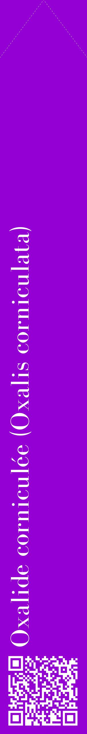 Étiquette de : Oxalis corniculata - format c - style blanche48_simplebod avec qrcode et comestibilité