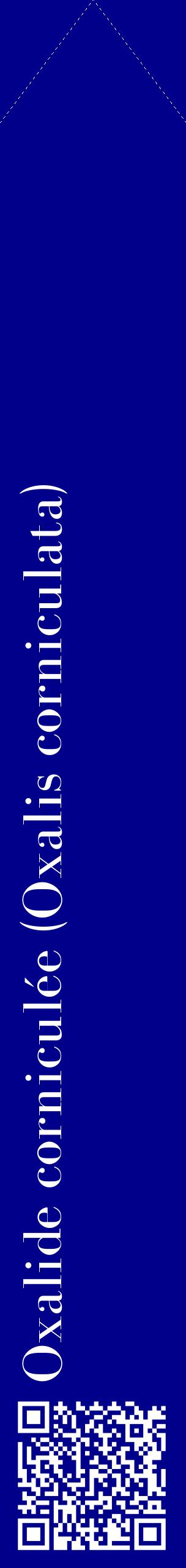 Étiquette de : Oxalis corniculata - format c - style blanche7_simplebod avec qrcode et comestibilité
