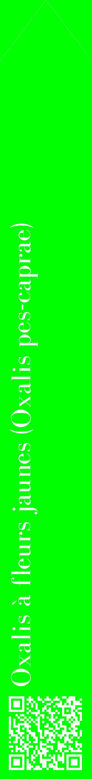Étiquette de : Oxalis pes-caprae - format c - style blanche16_simplebod avec qrcode et comestibilité