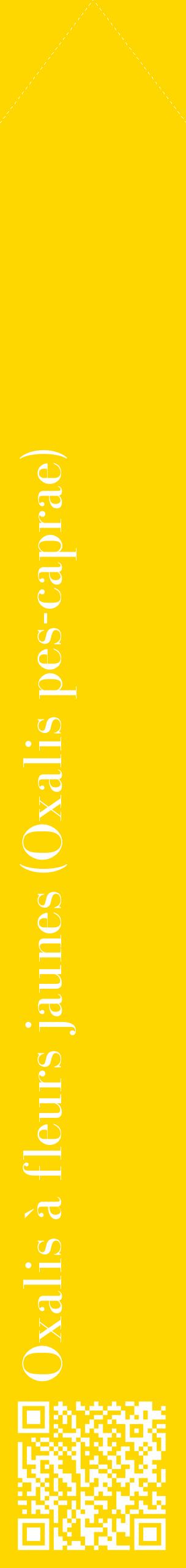 Étiquette de : Oxalis pes-caprae - format c - style blanche21_simplebod avec qrcode et comestibilité