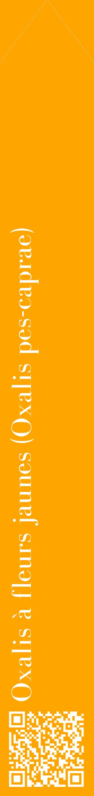 Étiquette de : Oxalis pes-caprae - format c - style blanche22_simplebod avec qrcode et comestibilité