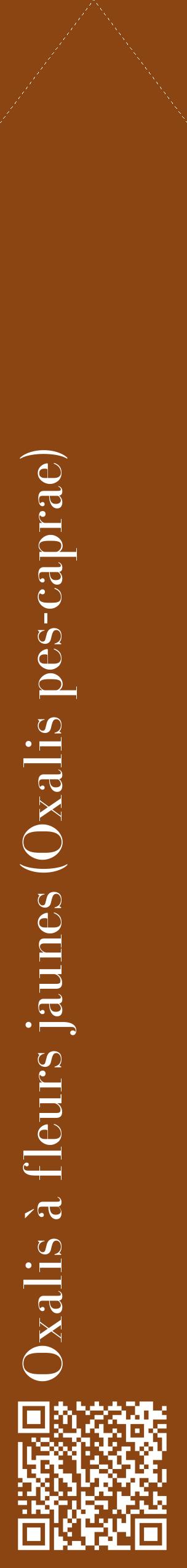 Étiquette de : Oxalis pes-caprae - format c - style blanche30_simplebod avec qrcode et comestibilité