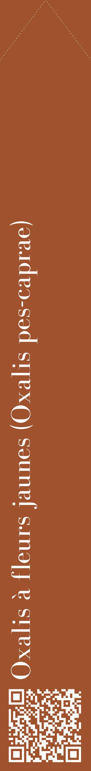 Étiquette de : Oxalis pes-caprae - format c - style blanche32_simplebod avec qrcode et comestibilité