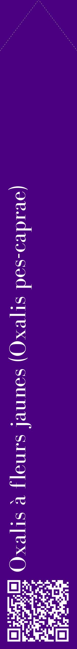 Étiquette de : Oxalis pes-caprae - format c - style blanche47_simplebod avec qrcode et comestibilité