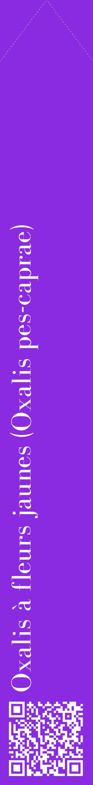 Étiquette de : Oxalis pes-caprae - format c - style blanche49_simplebod avec qrcode et comestibilité