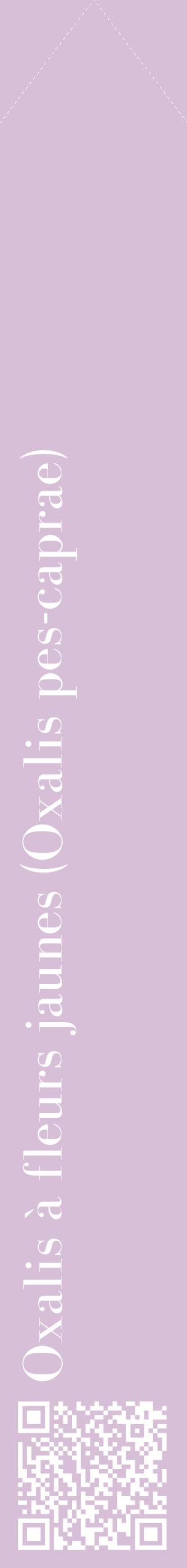 Étiquette de : Oxalis pes-caprae - format c - style blanche54_simplebod avec qrcode et comestibilité