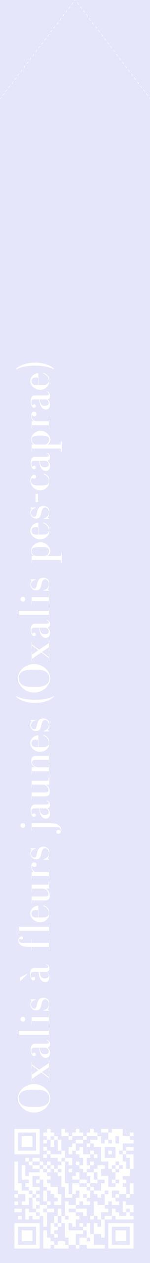 Étiquette de : Oxalis pes-caprae - format c - style blanche55_simplebod avec qrcode et comestibilité