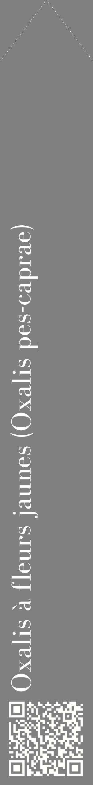 Étiquette de : Oxalis pes-caprae - format c - style blanche57_simplebod avec qrcode et comestibilité