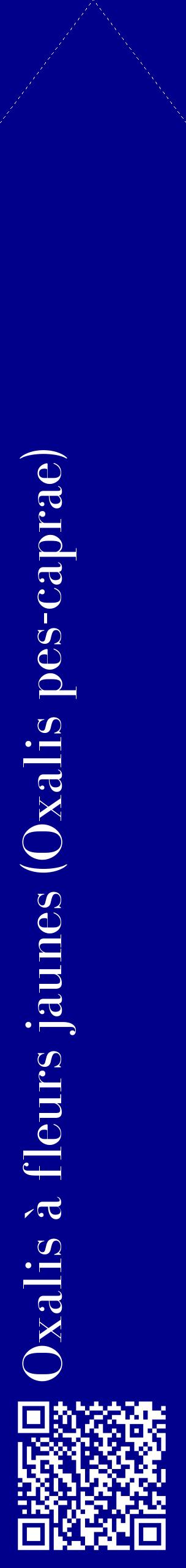 Étiquette de : Oxalis pes-caprae - format c - style blanche7_simplebod avec qrcode et comestibilité