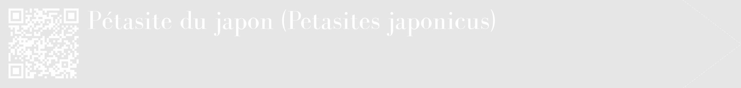 Étiquette de : Petasites japonicus - format c - style blanche18_simple_simplebod avec qrcode et comestibilité