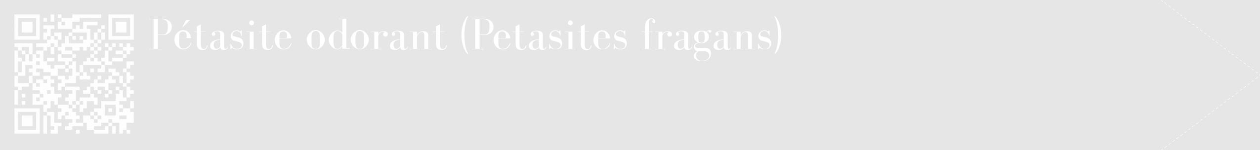 Étiquette de : Petasites fragans - format c - style blanche18_simple_simplebod avec qrcode et comestibilité