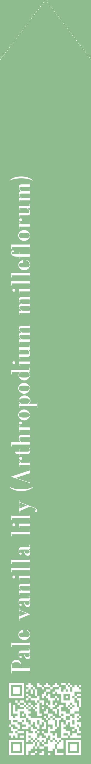 Étiquette de : Arthropodium milleflorum - format c - style blanche13_simplebod avec qrcode et comestibilité