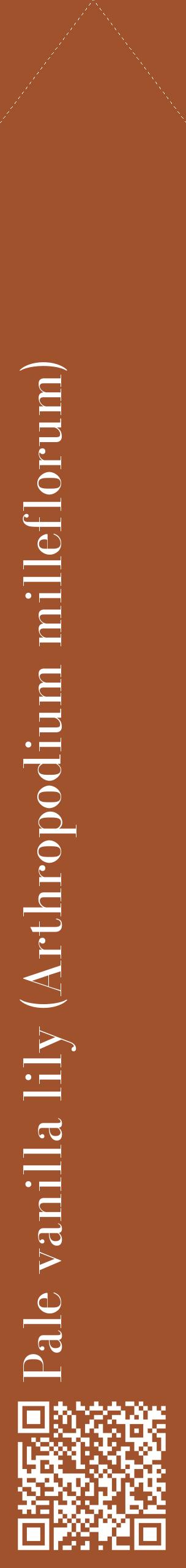 Étiquette de : Arthropodium milleflorum - format c - style blanche32_simplebod avec qrcode et comestibilité