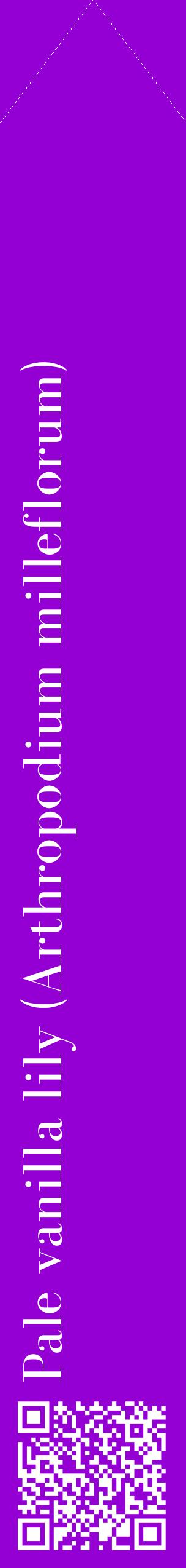 Étiquette de : Arthropodium milleflorum - format c - style blanche48_simplebod avec qrcode et comestibilité