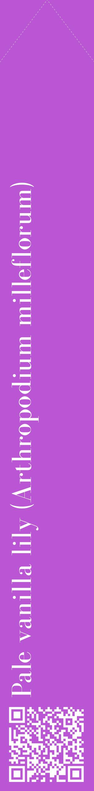 Étiquette de : Arthropodium milleflorum - format c - style blanche50_simplebod avec qrcode et comestibilité