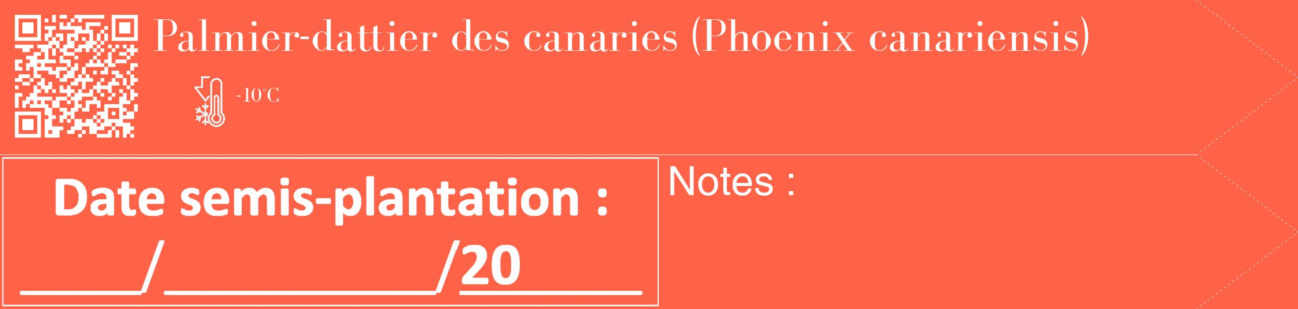 Étiquette de : Phoenix canariensis - format c - style blanche25_simple_simplebod avec qrcode et comestibilité