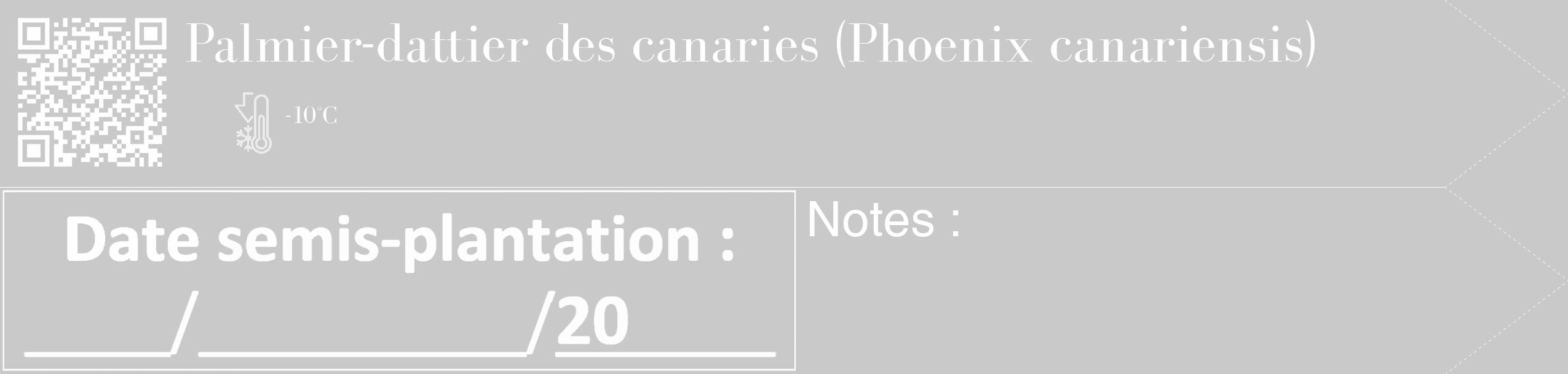 Étiquette de : Phoenix canariensis - format c - style blanche54_simple_simplebod avec qrcode et comestibilité