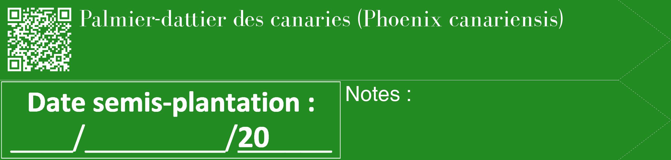 Étiquette de : Phoenix canariensis - format c - style blanche10_simple_simplebod avec qrcode et comestibilité