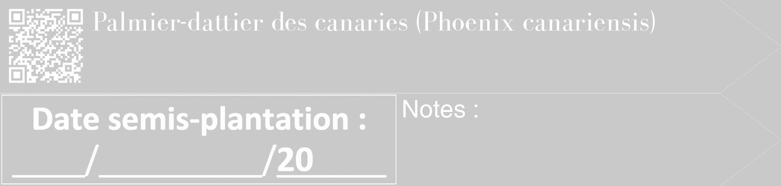 Étiquette de : Phoenix canariensis - format c - style blanche54_simple_simplebod avec qrcode et comestibilité