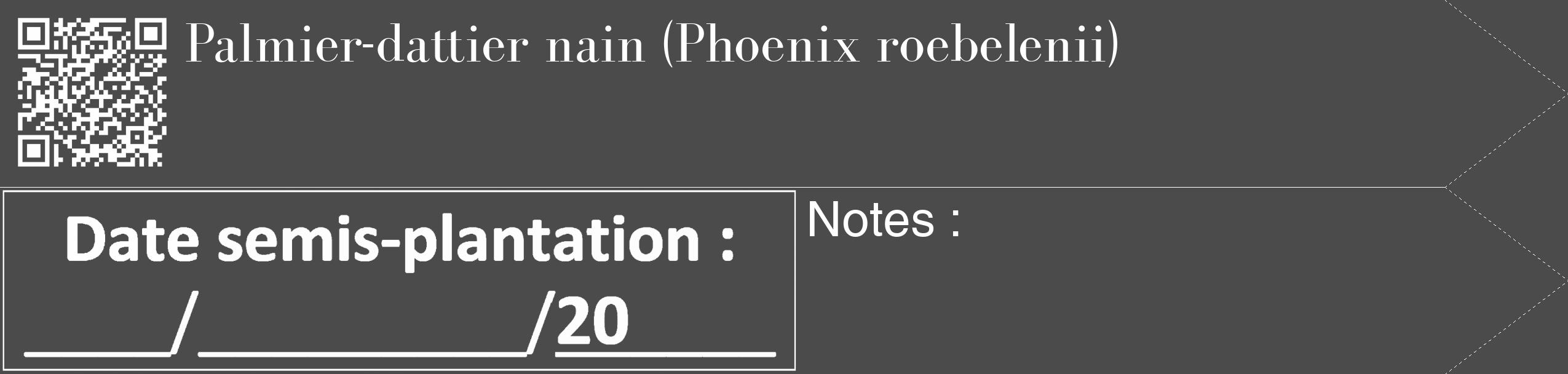Étiquette de : Phoenix roebelenii - format c - style blanche9_simple_simplebod avec qrcode et comestibilité