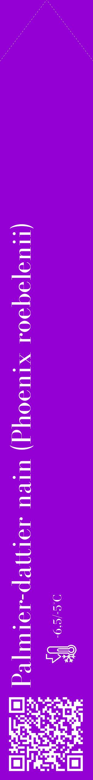 Étiquette de : Phoenix roebelenii - format c - style blanche48_simple_simplebod avec qrcode et comestibilité - position verticale