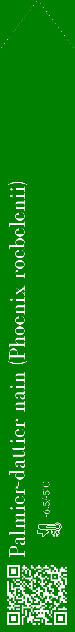 Étiquette de : Phoenix roebelenii - format c - style blanche9_simple_simplebod avec qrcode et comestibilité - position verticale