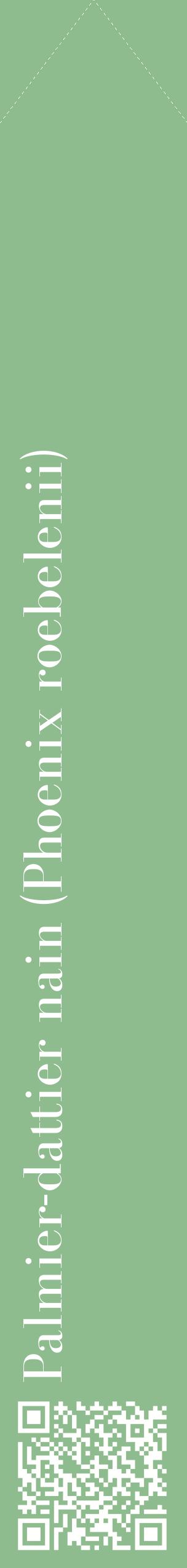 Étiquette de : Phoenix roebelenii - format c - style blanche13_simplebod avec qrcode et comestibilité