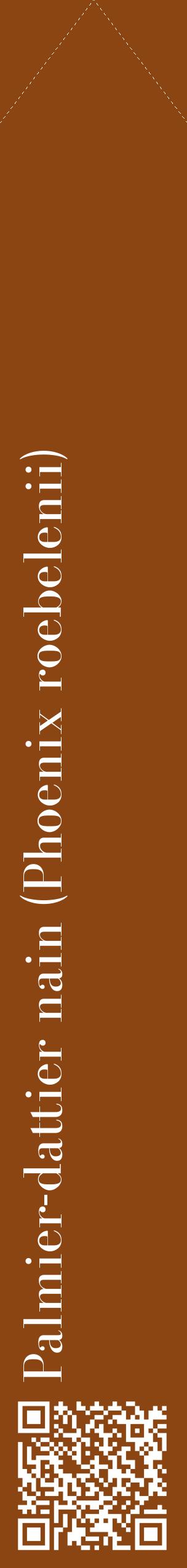 Étiquette de : Phoenix roebelenii - format c - style blanche30_simplebod avec qrcode et comestibilité