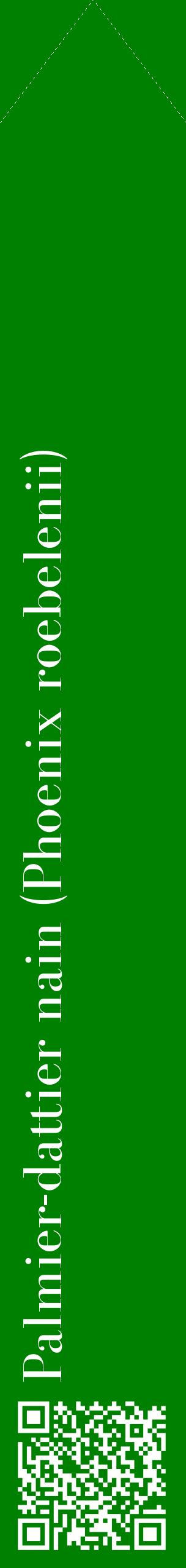 Étiquette de : Phoenix roebelenii - format c - style blanche9_simplebod avec qrcode et comestibilité